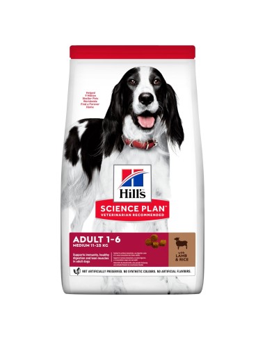 Hills SP Canine Adult Med Cordero & Arroz 14 kg