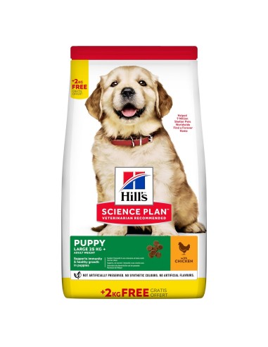 Hills SP Canine Puppy Large Pollo 14,5 kg