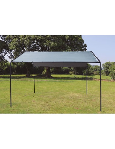 CARPOT 3X4 M