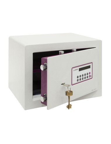 CAJA FUERTE S.FORMA EVOL.38,5x30xh27 CM