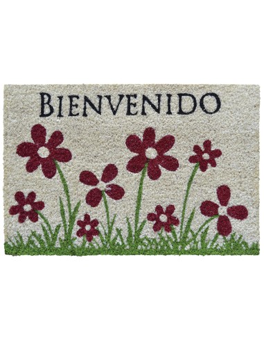FELPUDO COCO FUN BIENVENIDO 40X60CM.