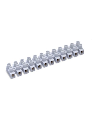 REGLETA CONEXION 2.5MM 24A BL. DUOLEC