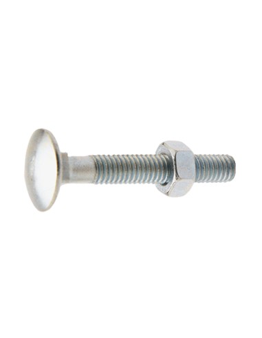 TORNILLO CINC.DIN603/934 TUER.HEX.5X50