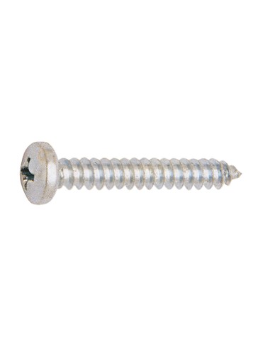 TORNILLO CHAPA CINC. DIN 7981 4,2X25 MM.