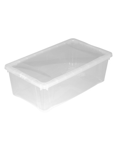 CAJA  MULTIUSOS 5L 33X20XH.11CM TRANSP.