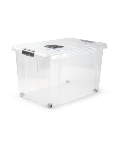 CAJA PLAST. 55L. PLATA 59X40X35 CM.