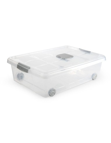 CAJA PLAST. 31L. PLATA 62X45X18 CM.
