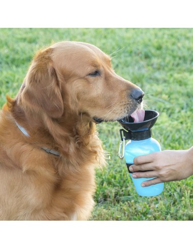 BOTELLA BEBEDERO MASCOTAS INNOVAGOODS