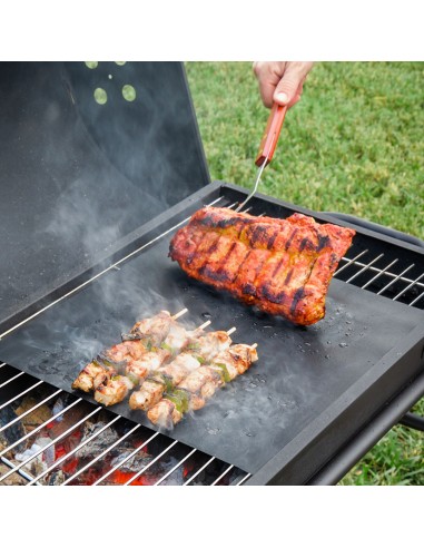 ESTERILLA PARA HORNO Y BARBACOA 2 UN.