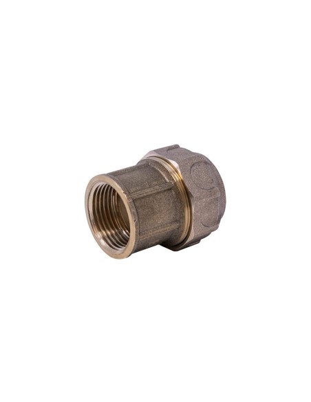 RACOR RECTO HEMBRA PE/H 25X3/4" LIGERO