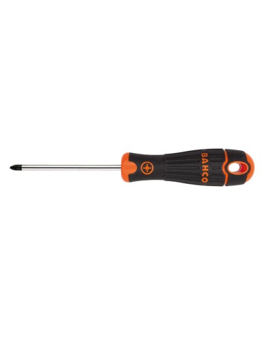 DESTORNILL.POZIDRIV Nº1X100