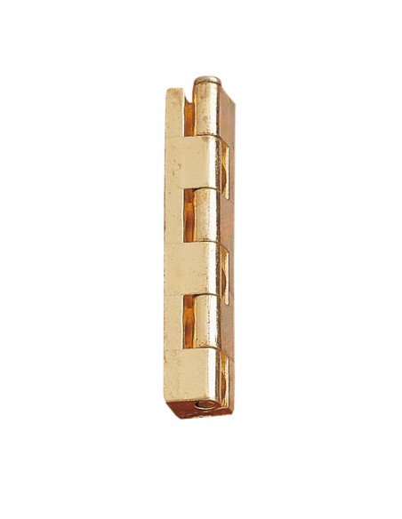 BISAGRA TIPO BLU-BLACH DORADA 55 MM