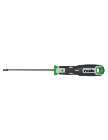 DESTORN.TORX T-15X100 RATIO