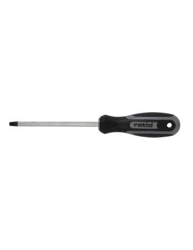 DESTORN.TORX T-30 6X125 RATIO