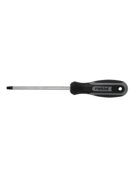DESTORN.TORX T-30 6X125 RATIO