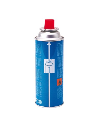 CARTUCHO GAS CP-250 CAMPINGAZ