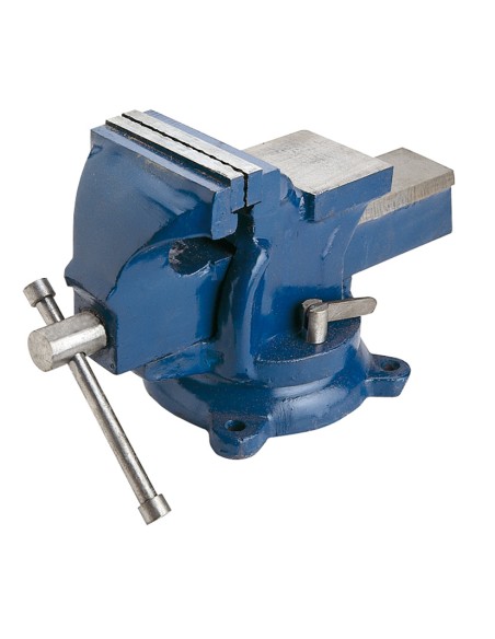 TORNILLO BANCO CERRAJ.S.ESPEC.100