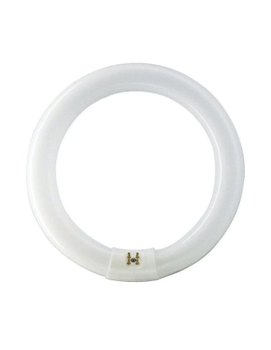 FLUORESCENTE CIRCULAR TL-E  22W/865