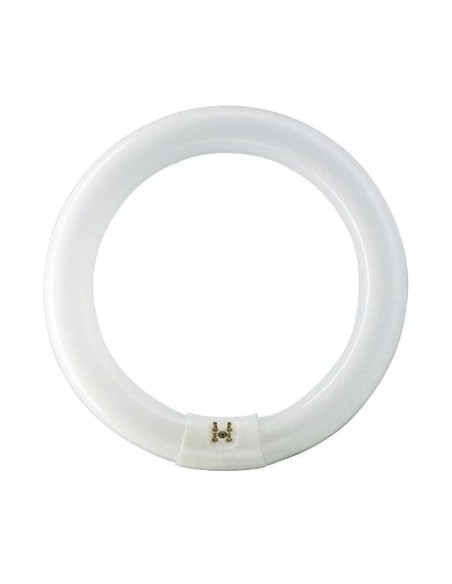 FLUORESCENTE CIRCULAR TL-E  22W/865