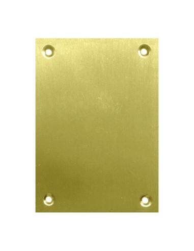 PLACA CIEGA 2 UNID. 80X80MM LATON PULIDO