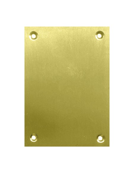 PLACA CIEGA 2 UN.100X70MM LATON PULIDO
