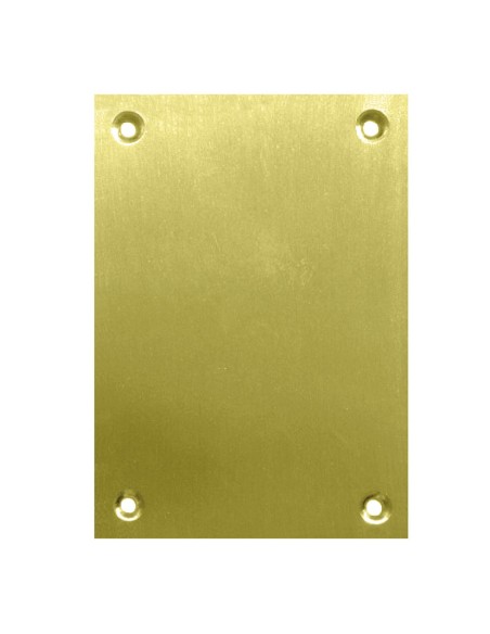 PLACA CIEGA 2 UN.100X70MM LATON SATINADO