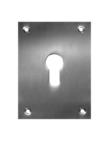 PLACA BOCALLAVE 2 UN. 100X70MM NIQ.SATIN